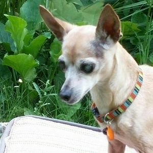 Meet your Posher, Brian